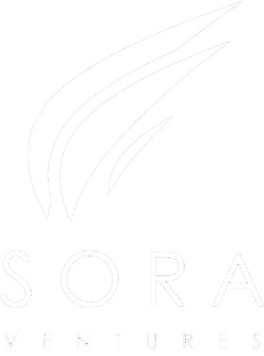 Sora Ventures
